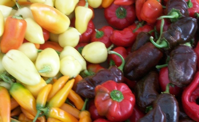 peppers