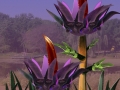Knife Flower